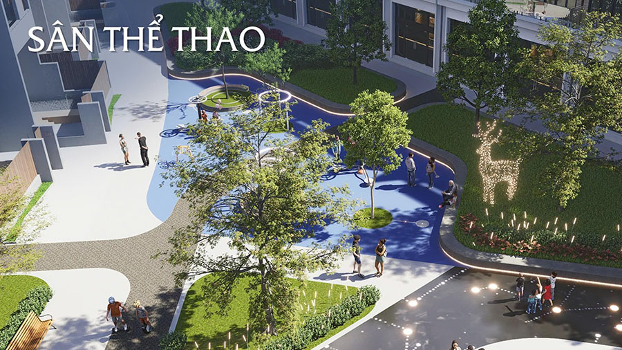 san-the-thao-the-lumia-da-nang